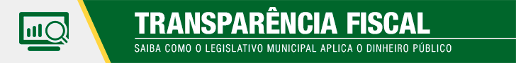 banner_topo